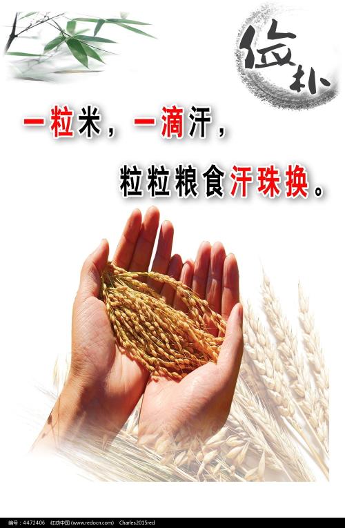 国际驾照认证